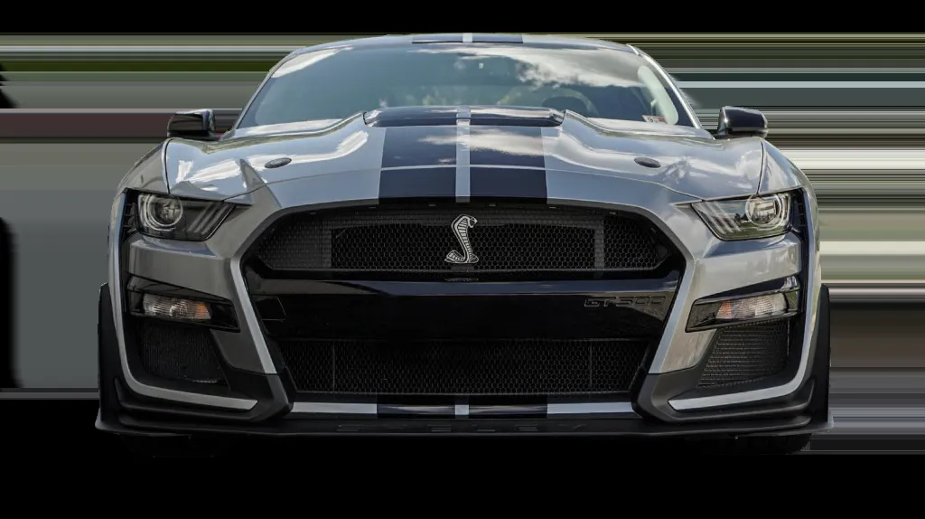 ACTION WINDOW TINTING LLC — FREDRICKSBURG VA