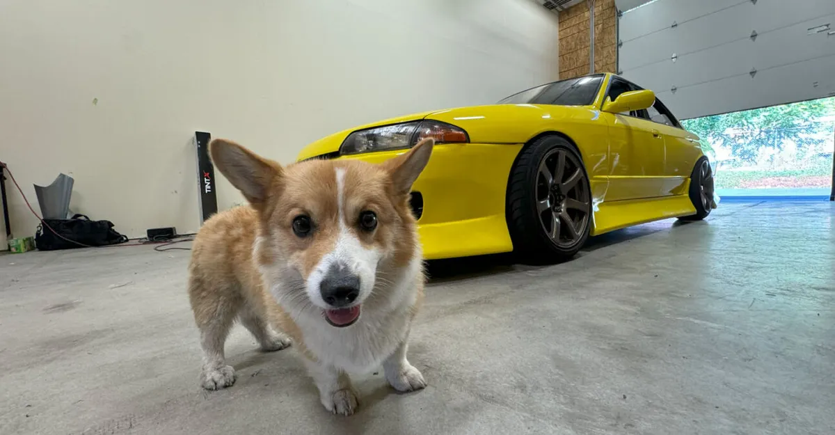 Auto Alchemy ceramic coating work in Vancouver, WA