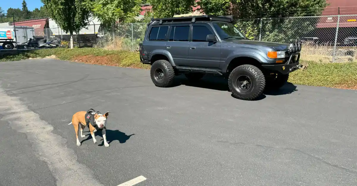 Auto Alchemy ceramic coating work in Vancouver, WA