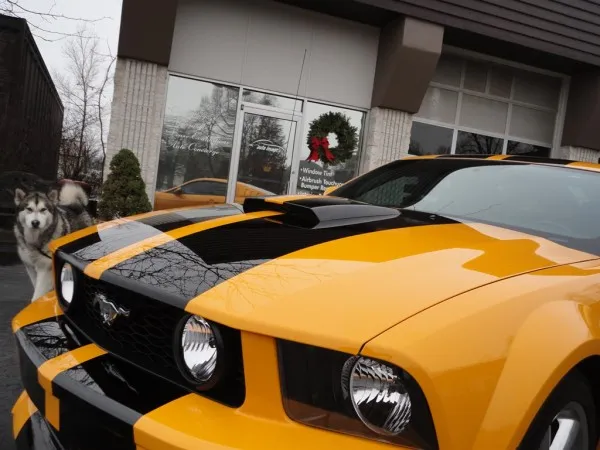 Auto Image ceramic coating work in Barrington, IL