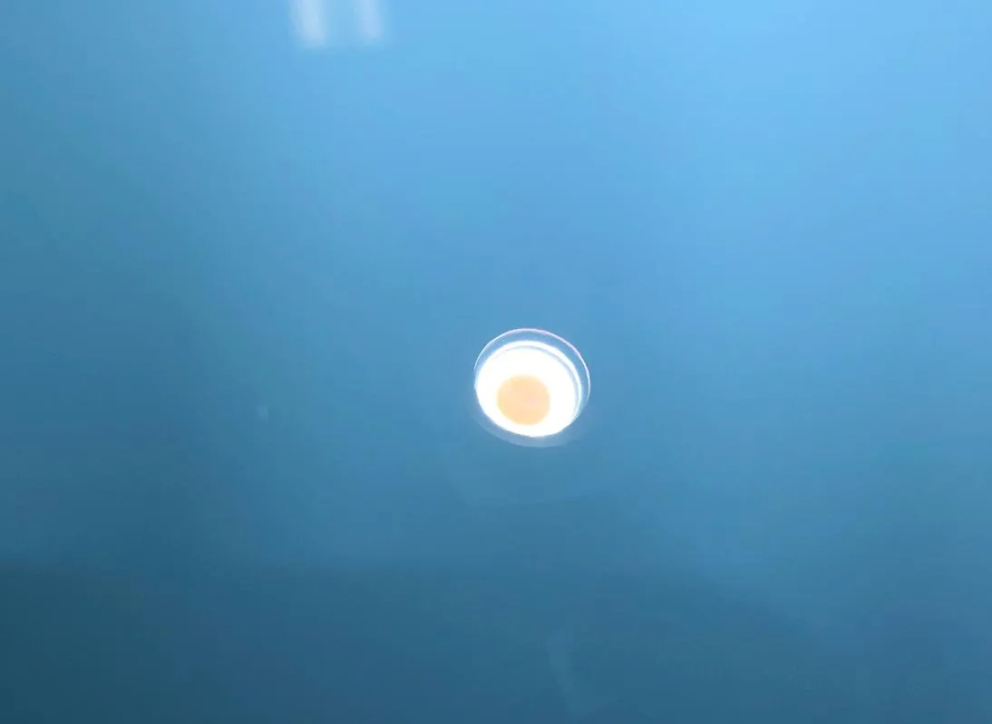 Detail Geeks ceramic coating work in Oakland Park, FL