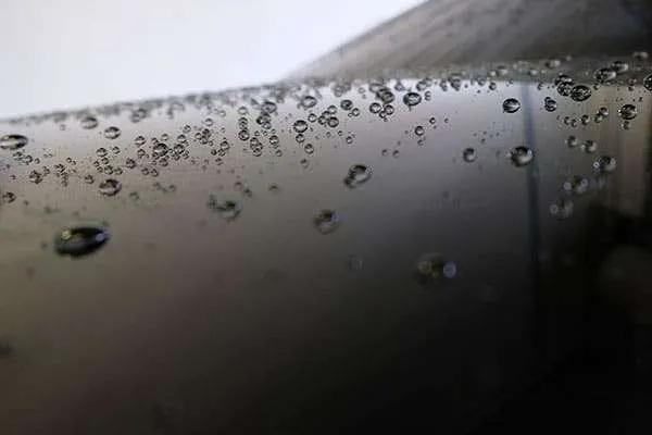 Elite Auto Spa Fresno ceramic coating work in Clovis, CA