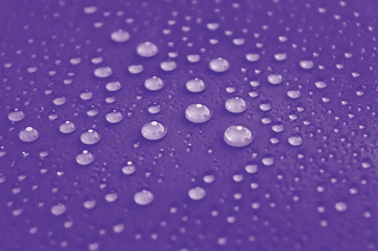 Elite Window Tinting-Milwaukie ceramic coating work in Milwaukie, OR