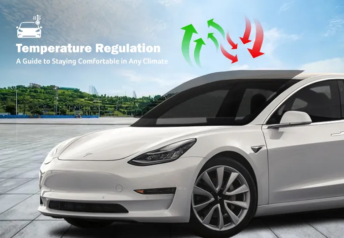 Mr. Tint ceramic coating work in San Jose, CA