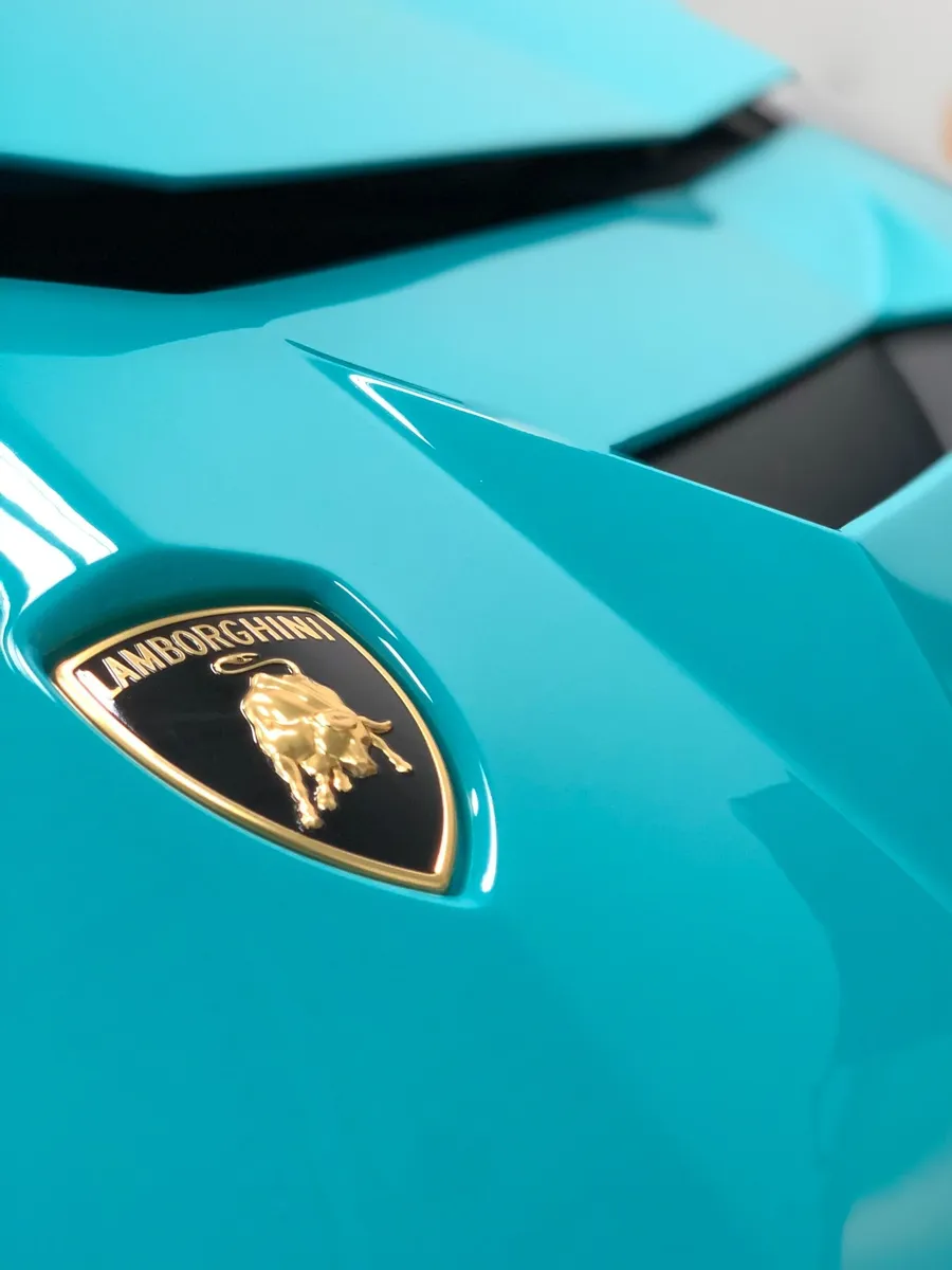 Paddock Paint Protection ceramic coating work in Indian Trail, NC