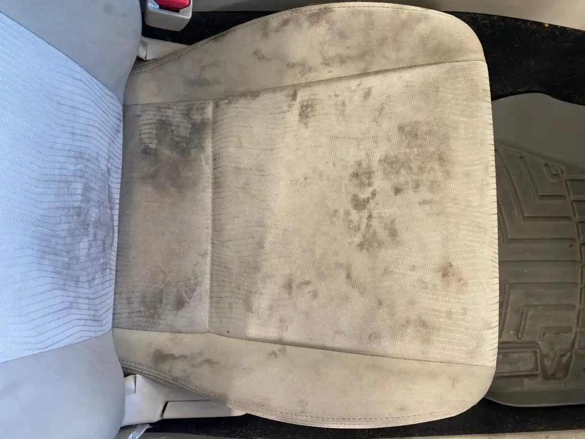 Pristine Auto Detail ceramic coating work in Santa Rosa, CA