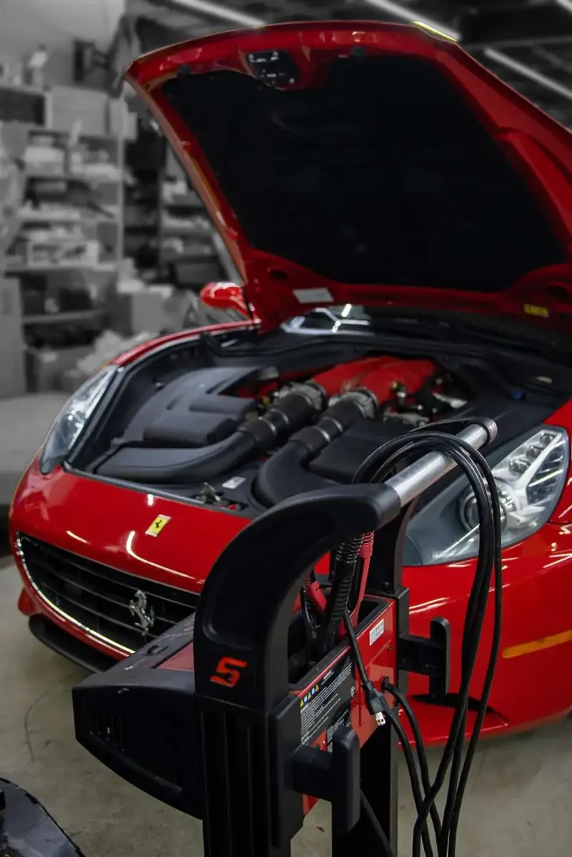 Superior Exotics Team — Davie FL