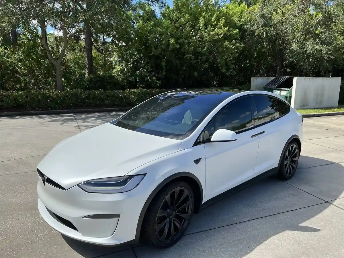 Tintology — Melbourne FL