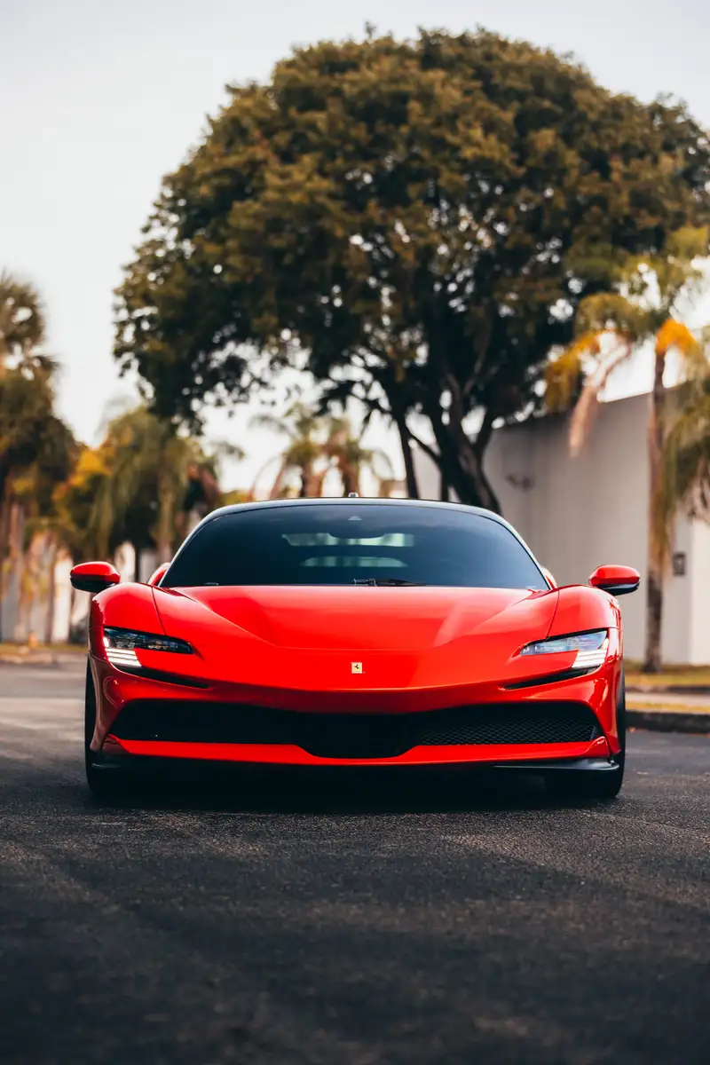 TR3 Performance — Davie FL