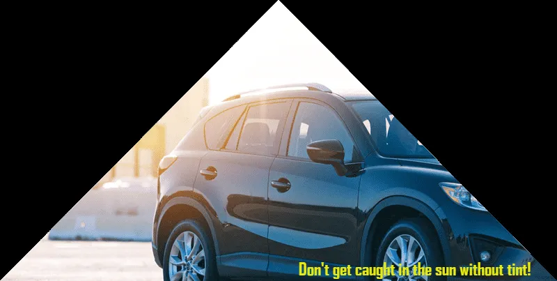 Trick Tint Window Tinting ceramic coating work in Stevensville, MI