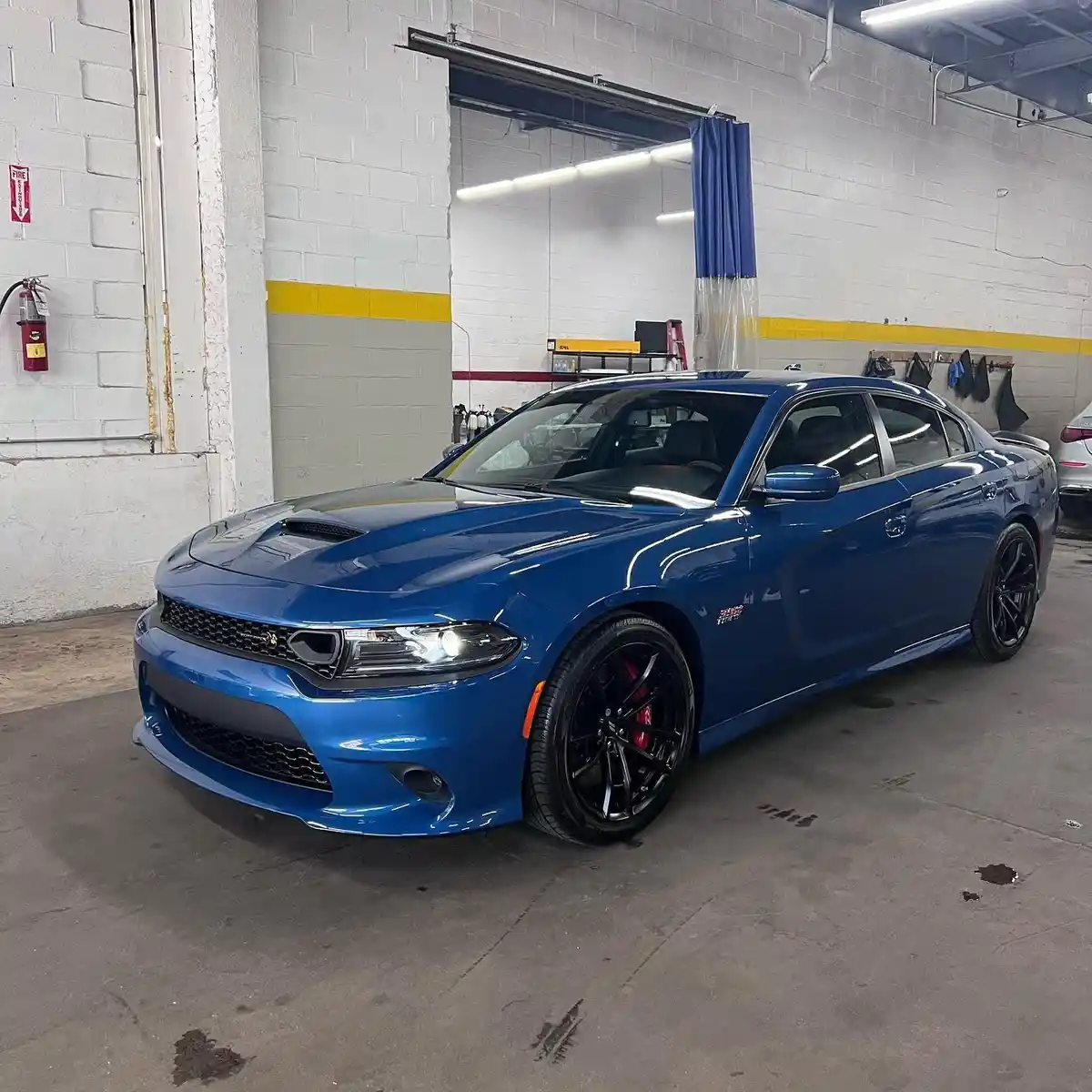 Williamsburg Handwash & Auto Detailing ceramic coating work in Brooklyn, NY